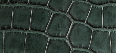 BRITISH GREEN