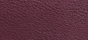 BOYSENBERRY