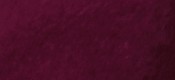 BOYSENBERRY