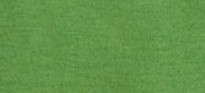 BRIGHT CLOVER GREEN