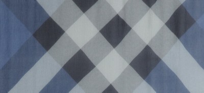 DUSTY THISTLE BLUE CHECK