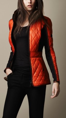 Sport Collection Reversible Quilted Jacket