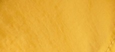 BRIGHT GORSE YELLOW