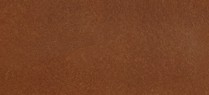 DARK OCHRE