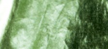 PALE POWDER GREEN