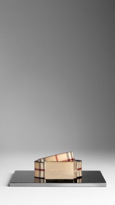Haymarket Check Plaque Belt