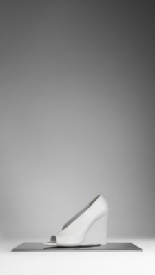 Python Wedge Pumps