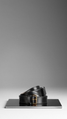 Perspex Bow Belt