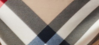 NEW CLASSIC CHECK