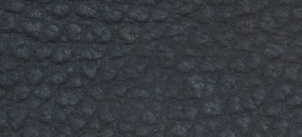 BLUE CARBON