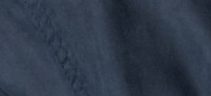 BLUE CARBON