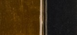TIGER EYE