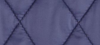 IRIS BLUE