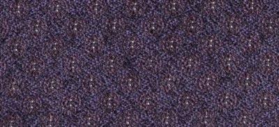 PURPLE INDIGO