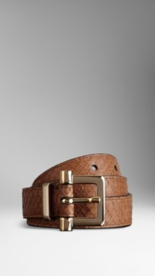 Python Belt
