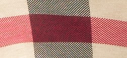 NEW CLASSIC CHECK