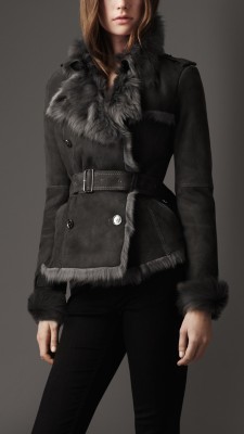 Belted Shearling Jacket