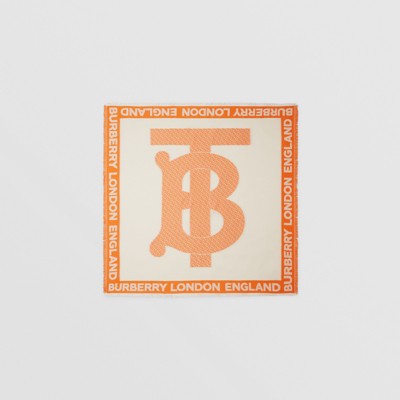 burberry london website