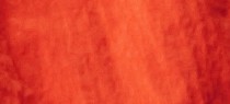 BURNT ORANGE