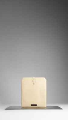 Lizard iPad Case