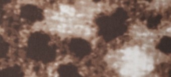 CHALK BROWN
