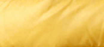 BRIGHT GORSE YELLOW