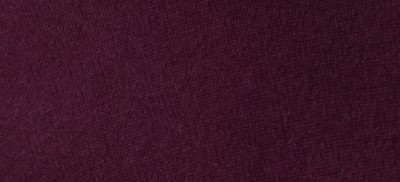 BRIGHT BILBERRY
