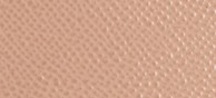 ANTIQUE TAUPE PINK