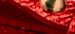 METALLIC CADMIUM RED