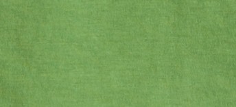 BRIGHT CLOVER GREEN