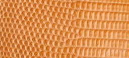 POLLEN