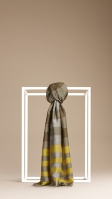 Painted Stripe Scarf