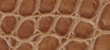 CLAY