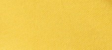 GORSE YELLOW