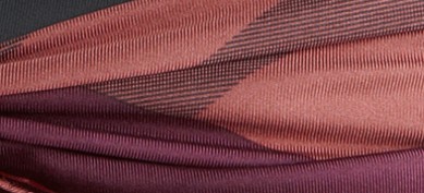 BOYSENBERRY CHECK