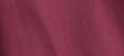 BOYSENBERRY