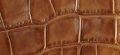 ORANGE OCHRE