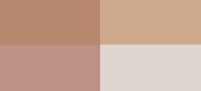 PALE NUDE