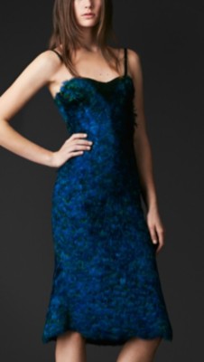 Peacock Feather Dress