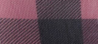 BOYSENBERRY