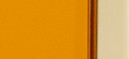 BRIGHT POPPY ORANGE