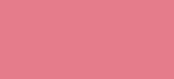 HYDRANGEA PINK