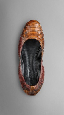 Python Ballerinas