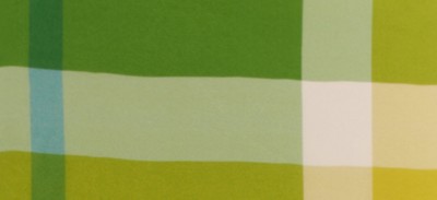 BRIGHT CLOVER GREEN CHECK