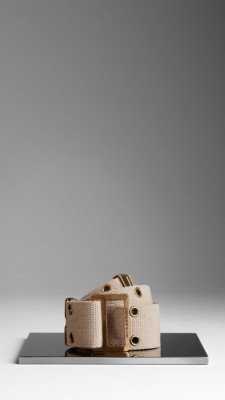 Military Buckle Webbed Belt