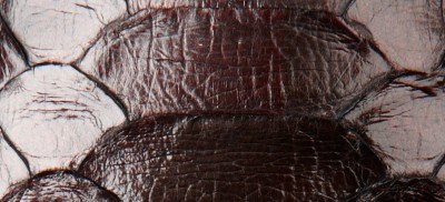 DARK CEDAR BROWN