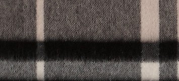 CHARCOAL CHECK