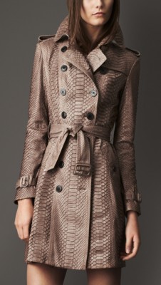 Long Python Trench Coat