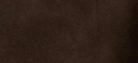 DARK CLOVE BROWN