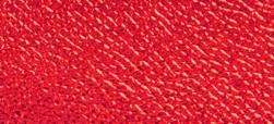 METALLIC CADMIUM RED